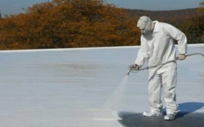 Types of Roof Coatings, Advantages, and Commercial Options: A Comprehensive Guide