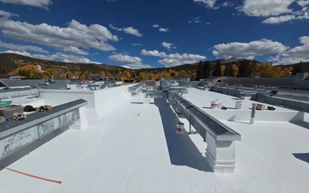 How Can a Roof Coating Save Me Money in Denver?